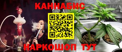 apvp Краснознаменск