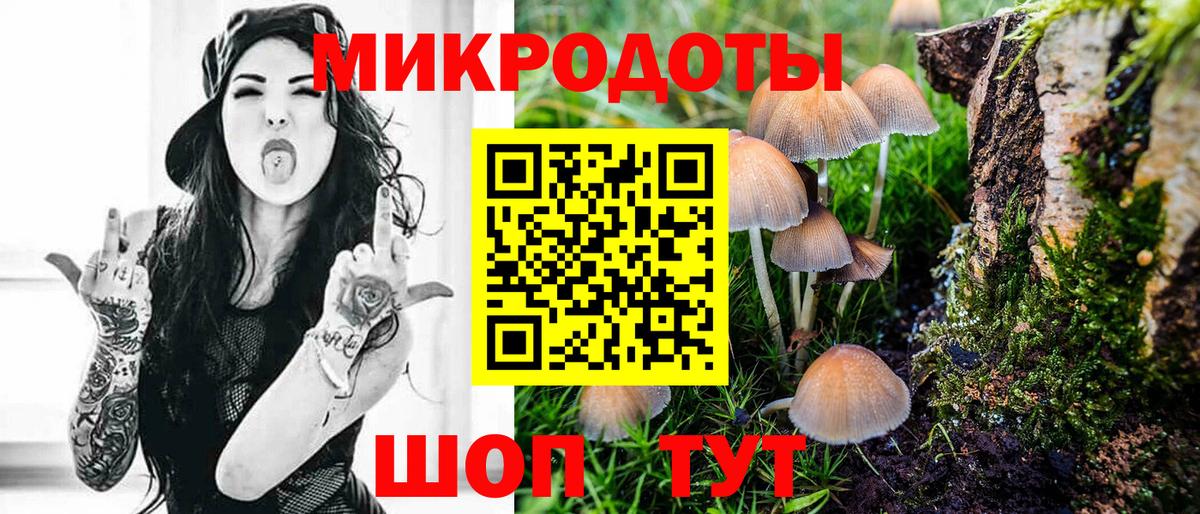 Котельники  Псилоцибиновые грибы Psilocybe  дарнет шоп  Галлюциногенные грибы мухоморы  Вход с VPN 
